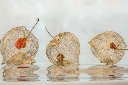 2020-11-16-Chinese-Lantern-w-mylar-4612-2-2-2-1