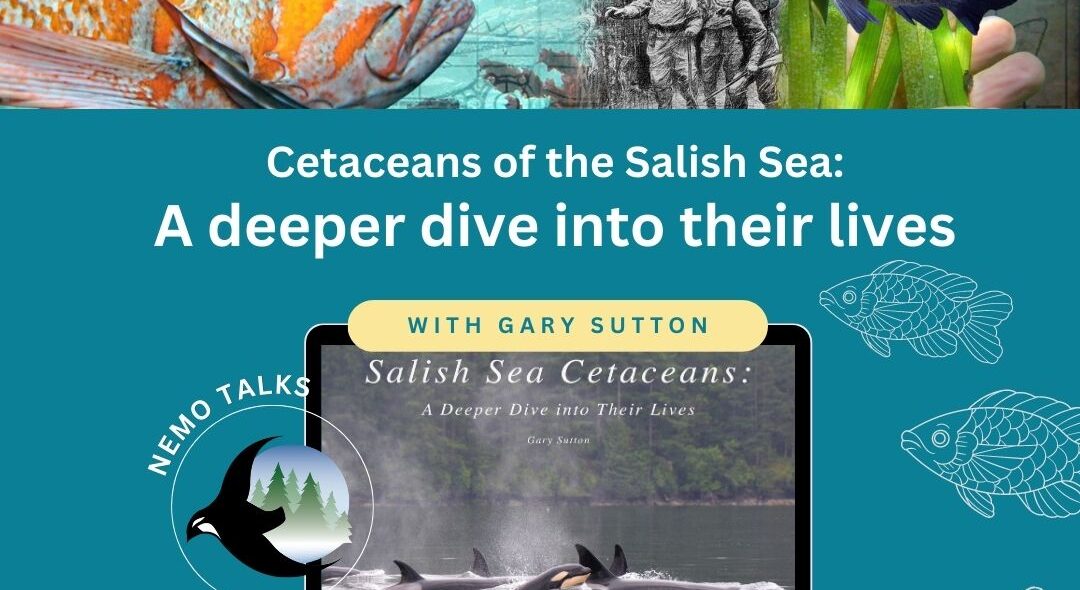 Online NEMO Talk: Cetaceans of the Salish Sea