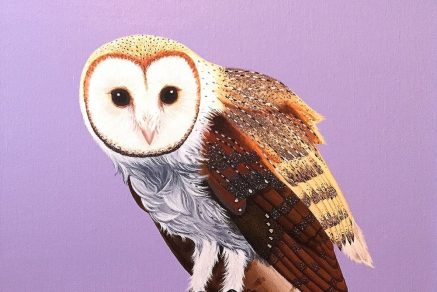 PURPLEBARNOWL-2015-16×16-1