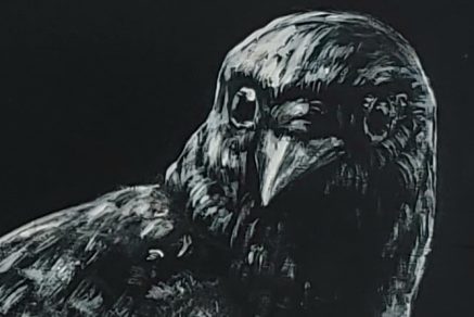 detail-of-crow