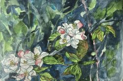 GPAG Workshop with Bruce Edwards: Spring Flowers in Watercolour and Ink